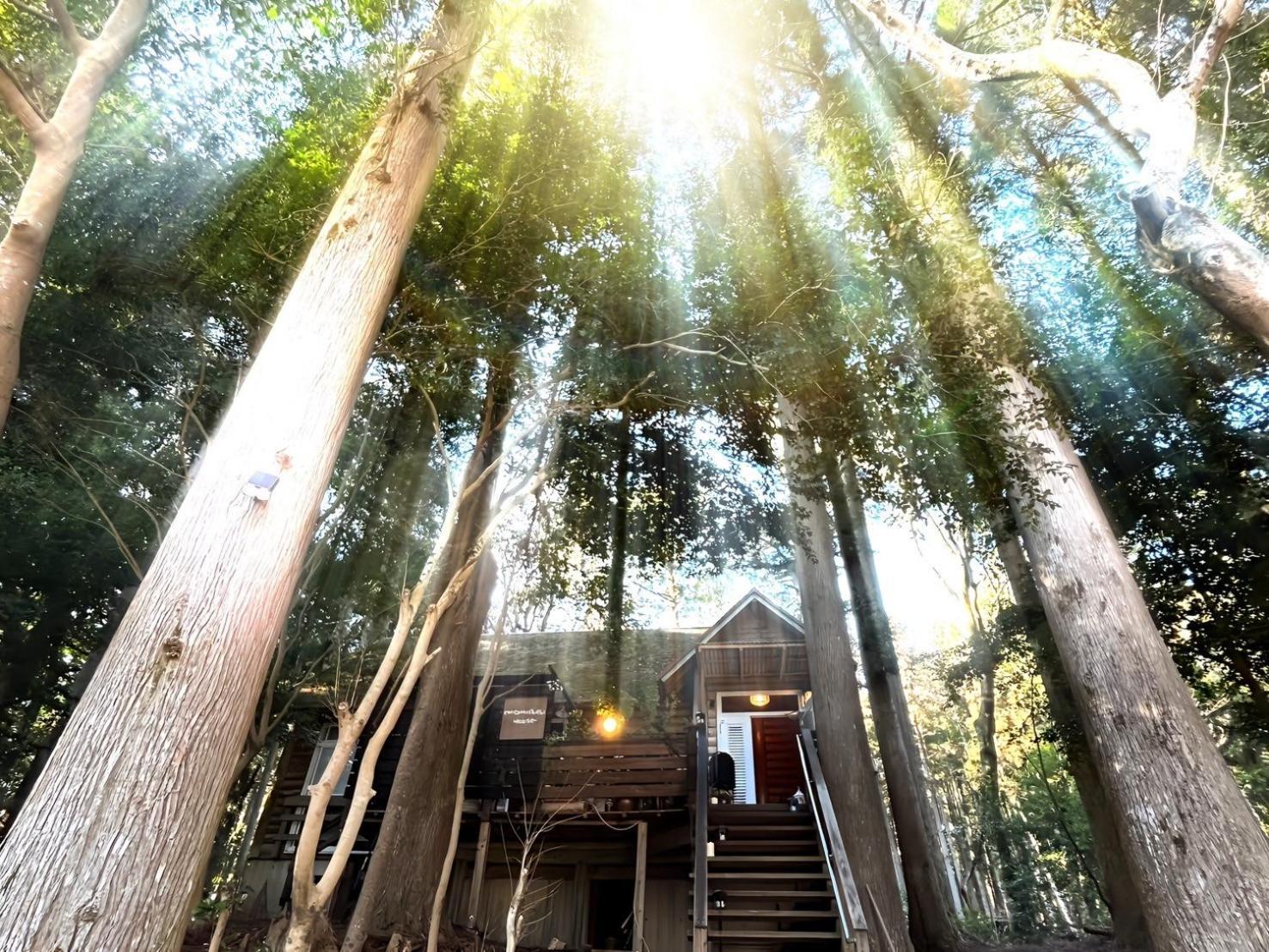Chichinpuipui House *